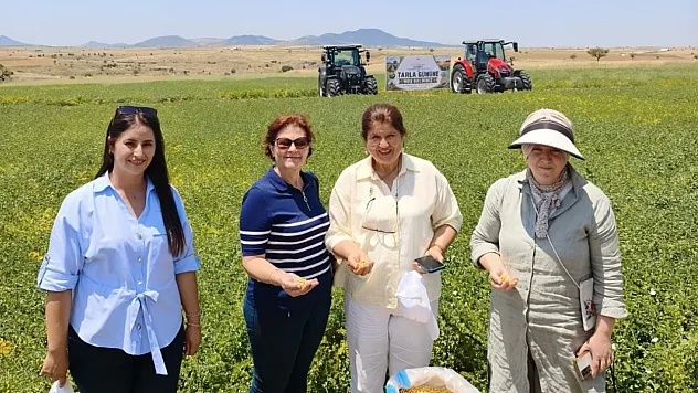 Afyon'da Denenen Nohut Çeşidi Rekor Verime Koşuyor