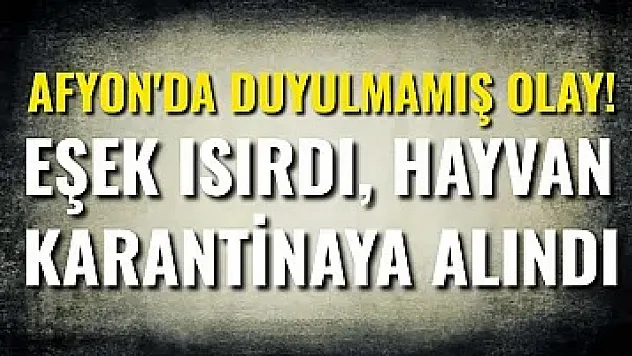 Afyon'da Duyulmamış Olay! Eşek Isırdı, Hayvan Karantinaya Alındı