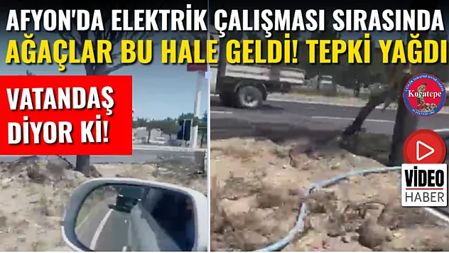 Afyon'da Elektrik Çalışması Sırasında Ağaçlar Bu Hale Geldi! Tepki Yağdı