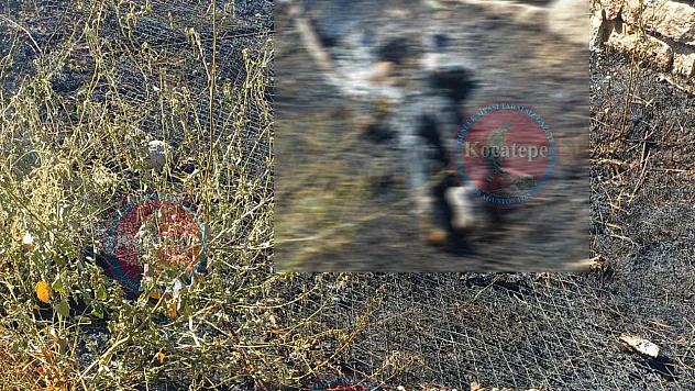 Afyon'da Yaşlı Adam, Yanarak Can Verdi