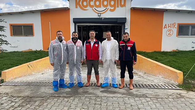 Afyon'da Hastalıktan Ari İşletme Sayısı Artıyor
