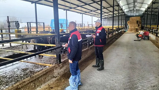 Afyon'da İşletmeler Tek Tek İnceleniyor