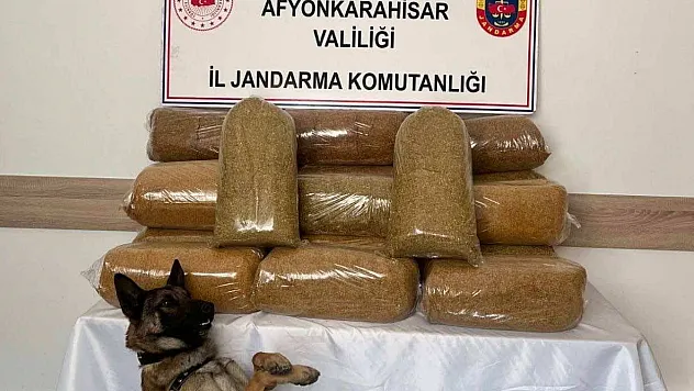 Afyon'da Jandarma, kaçak tütün yakaladı
