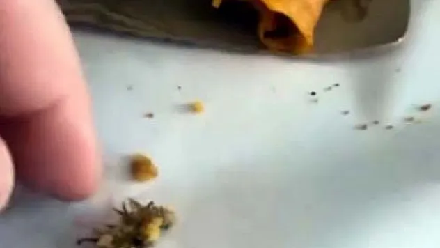 Afyon'da Mide Bulandıran İddia! Vatandaş Neye Uğradığını Şaşırdı
