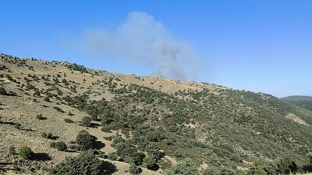 Afyon'da Orman Yangını! Ekipler Seferber Oldu