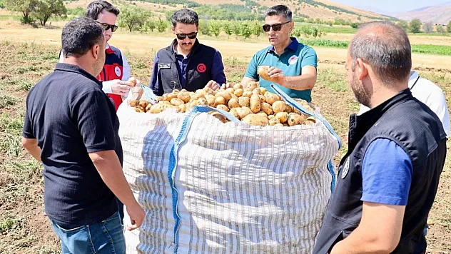 Afyon'da Patates Hasadı Sürüyor! Şuhut'ta Tarlalar Tek Tek İncelendi
