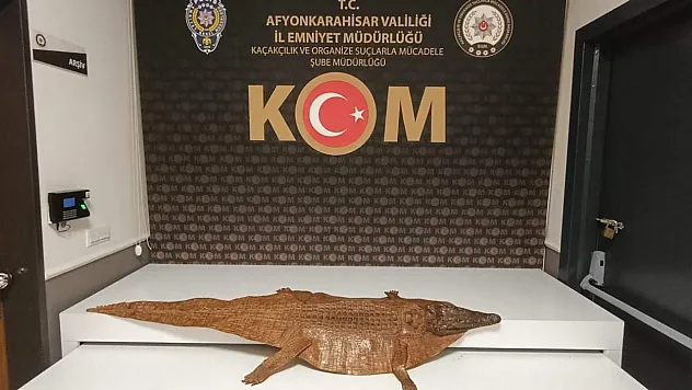 Afyon'da Şok Operasyon! Şüpheli Araçtan Timsah Derisi Çıktı