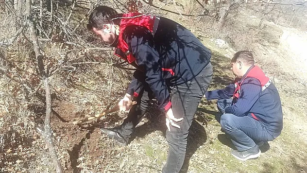 Afyon'da Süne Mücadelesinde İlk Çalışmalar Tamamlandı