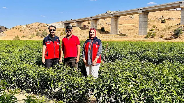 Afyon'da Tarımda Yeni Ürün Hamlesi!