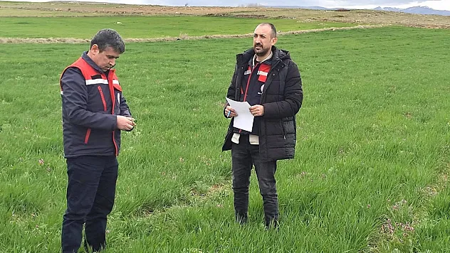 Afyon'da Yağışlarla Birlikte Mantari Hastalıklar Arttı
