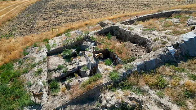 Afyon'daki Tarihi Kazı Alanı Köpeklerin Meskeni Oldu