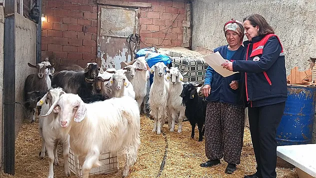Afyon Genelinde Hayvancılık İşletmeleri Denetleniyor