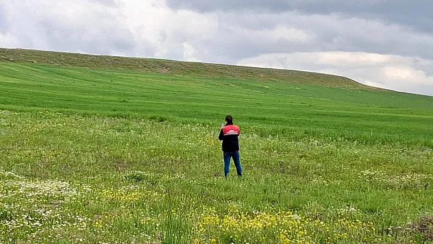 Afyon, İscehisar Ve Sandıklı'da Zararlı Çalışmaları Yapılıyor