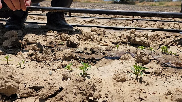 Afyon'un Toprak Verimi Artırılıyor