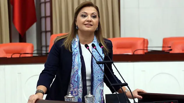 “Afyon’da bir yılda kaç kadın cinayeti işlendi?”