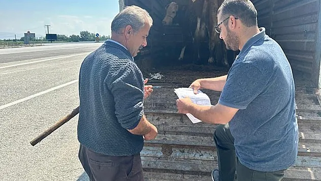 Afyon'da Canlı Hayvan Taşımacılığına Yönelik Denetimler Sürüyor