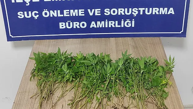 Afyon’da Evi Basan Polis Neler Yakaladı