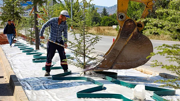 Afyon'da kuru peyzaj ile su israfı önlenecek