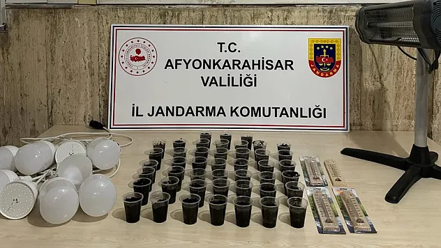 Afyon’da Silahlı Vurulan Şahsın Evinde Kenevir Yetiştirmeye Çalıştığı Ortaya Çıktı