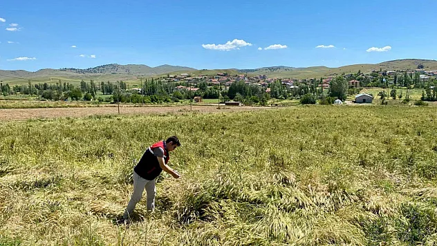 Afyonkarahisar'da Dolu Hasarı Tespit Çalışmaları Sürüyor