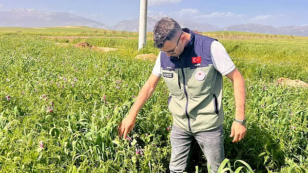 Afyonkarahisar'da Tarımsal Araziler Kontrol Altında