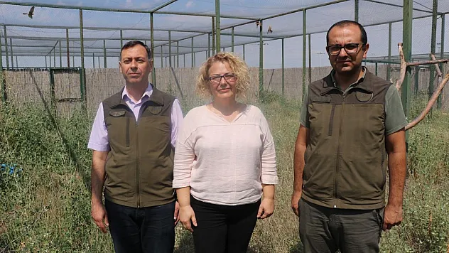 Afyonkarahisar'da 14 kerkenez doğaya salındı