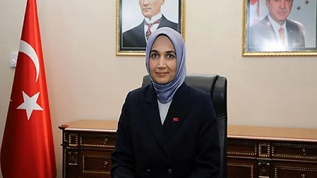 Afyonkarahisar’daki Orman Yangınıyla İlgili 1 Gözaltı