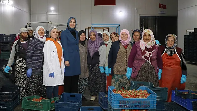 Afyonlu çiftçilere 6 milyonluk tohum dağıtılacak