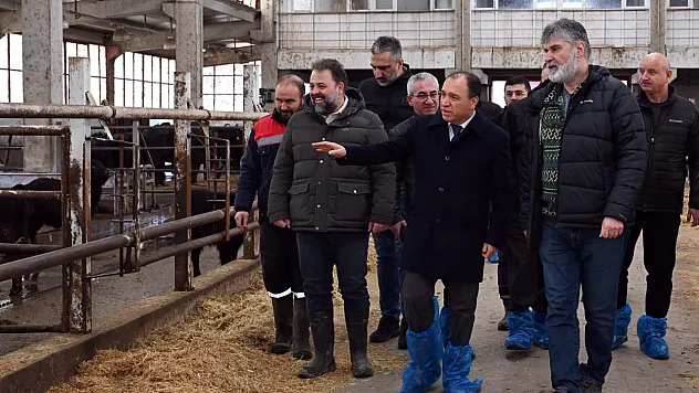 AKÜ'den Hayvancılıkta İddialı Hedef: Genom Teknolojisiyle Üretim!