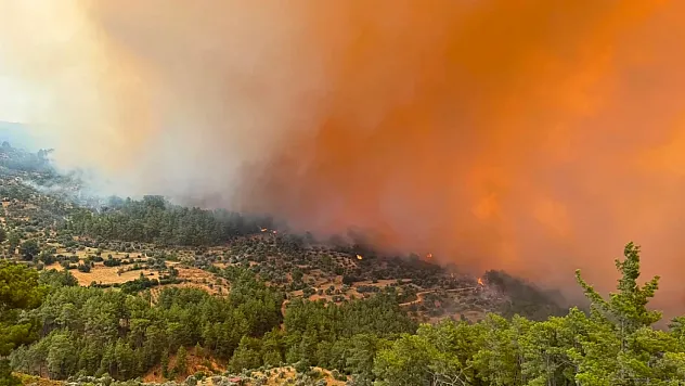 Altınoluk'taki Yangında Son Durum! Havadan ve Karadan Müdahale Devam Ediyor