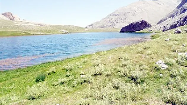 Anadolu’ya özgü canlı türleri korunuyor
