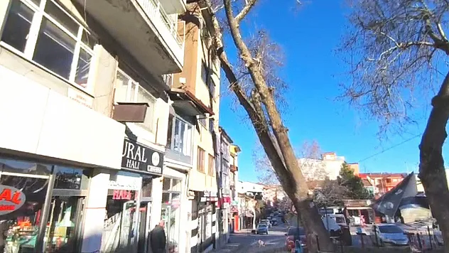 Anıt Çınar Binanın Üzerine Devrildi