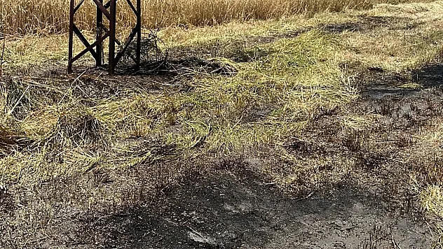 Anız Yangını Korkuttu