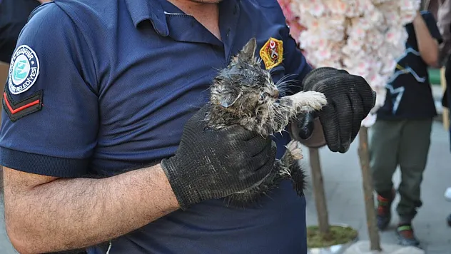 Aracın altına sıkışan yavru kedi itfaiye ekiplerince kurtarıldı