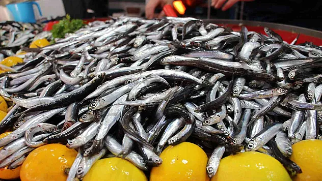Aralık Ayı'nda Yenecek En Lezzetli Balıklar Hangileri?
