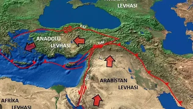 Arap Levhası Hangi Fay Hattı İle Karşılaşır?