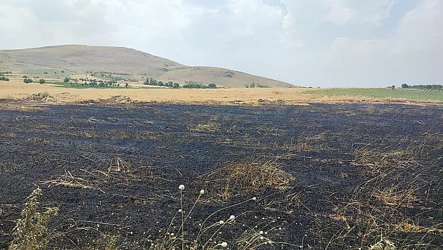 Arazi yangınında 3 dönüm ekili alan zarar gördü