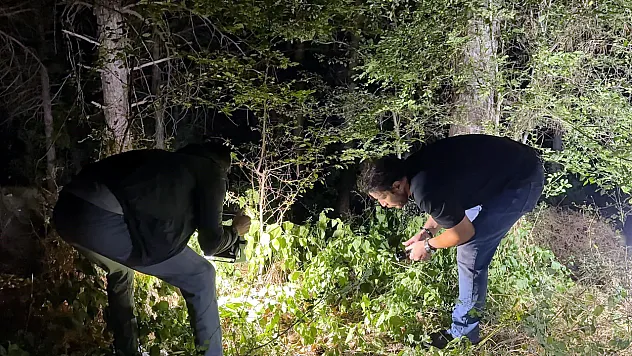 Arkadaşlarının Çağırdığı Ormanlık Alana Gitti ve Vuruldu