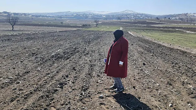 Arpa ve buğdayın ürün verimliğinin analizi yapıldı