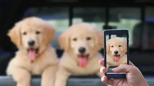 Artık Onların Bile Telefonu Olacak