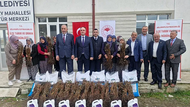 Aslanapa'da 13 Kadın Çiftçiye Yüzde 75 Hibeli 7 Bin Adet Ahududu Fidanı Dağıtıldı