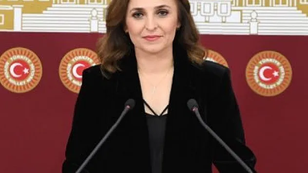 Ayşegül Doğan Kimdir?