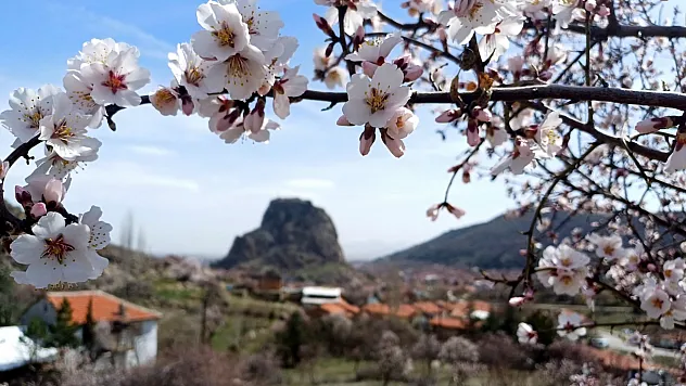 Bademler, Yalancı Bahara Aldandı