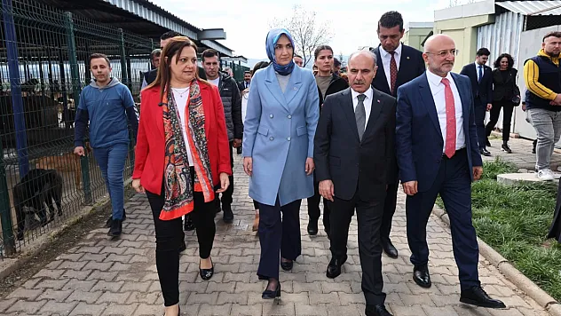 Bakan Yardımcısı Aktaş, Afyon'da İncelemelerde Bulundu