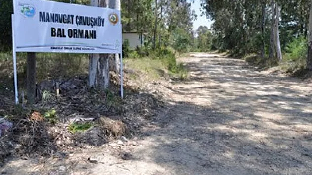 Bal Ormanı Eylem Planı başarılı oldu
