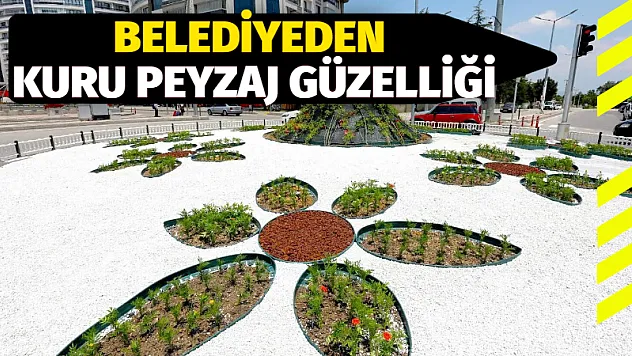 Belediyeden kuru peyzaj güzelliği