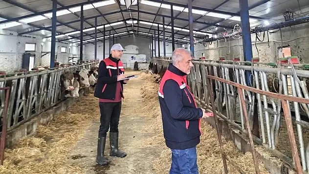 Besicilik İşletmelerine Yönelik 'Kapasite Ölçümleri' Devam Ediyor