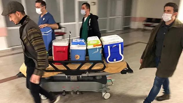 Beyin ölümü gerçekleşen  hastanın organları 3 kişiye umut oldu