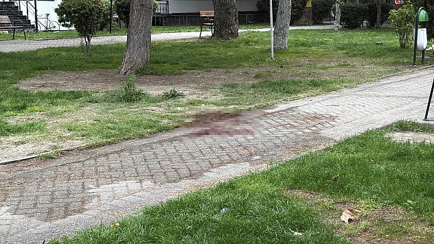 Bıçaklı Kavgada Ağır Yaralandı! Şüpheli Kısa Sürede Yakalandı