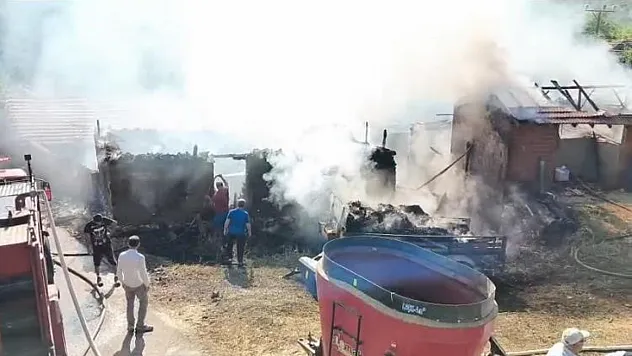 Bilecik'te Çıkan Samanlık Yangını, 1 Yaralı